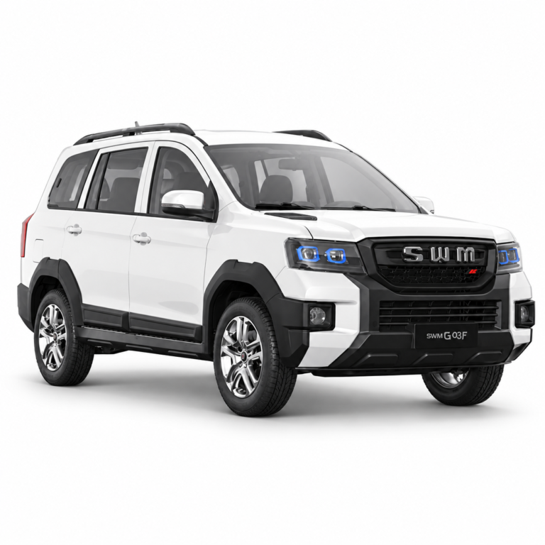 kineskiautomobili.com SSWM G03F N1 – komercijalna verzija sa dva sedišta